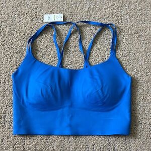 Aerie Offline Blue Sports Bra